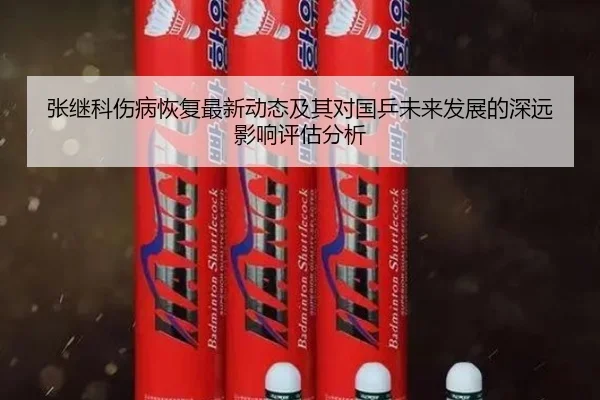 张继科伤病恢复最新动态及其对国乒未来发展的深远影响评估分析 | Kaiyuan
